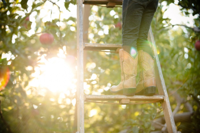 Family-2011-10-17-Family-Gardner-Utah-Wedding-and-Portrait-Photographer-Elisabeth-Kate-Photography-UT029IMG_0480-Blog(pp_w768_h511)