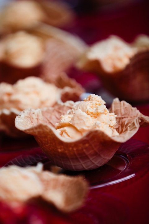 Wedding-2011-04-28-Melissa-Herschel-Utah-Wedding-and-Portrait-Photographer-Draper-Temple-My-Noahs-Reception023IMG_3625-Blog(pp_w480_h720)