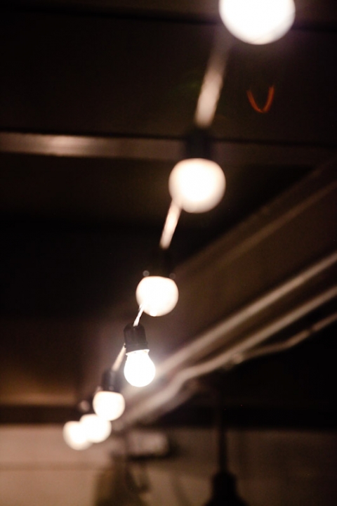 Wedding-2011-04-28-Melissa-Herschel-Utah-Wedding-and-Portrait-Photographer-Draper-Temple-My-Noahs-Reception036IMG_4120-Blog(pp_w480_h720)