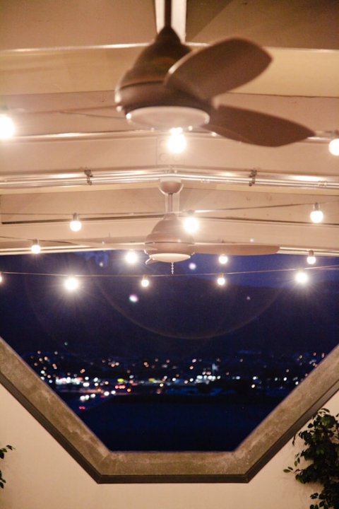 Wedding-2011-04-28-Melissa-Herschel-Utah-Wedding-and-Portrait-Photographer-Draper-Temple-My-Noahs-Reception037IMG_4112-Blog(pp_w480_h720)