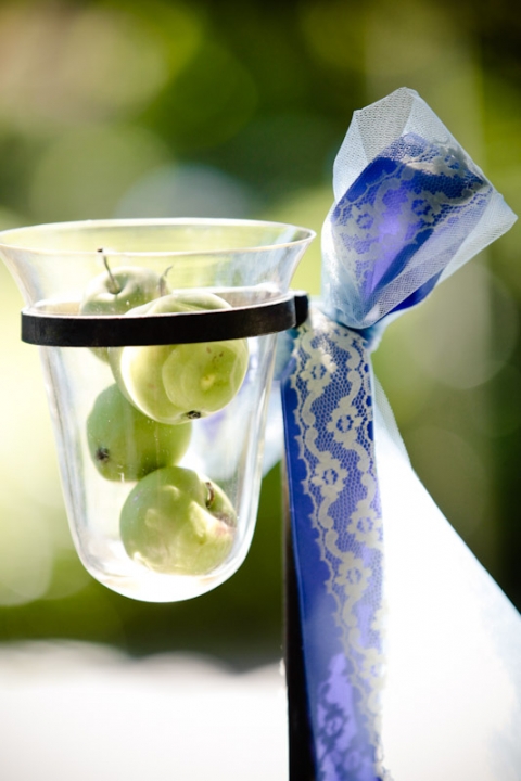 Wedding-2011-08-06-Chelsea-Kip-Utah-Wedding-and-Portrait-Photographer-The-Bungalow002IMG_2676-Blog(pp_w480_h720)