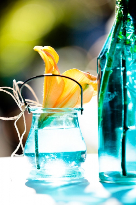 Wedding-2011-08-06-Chelsea-Kip-Utah-Wedding-and-Portrait-Photographer-The-Bungalow032IMG_3060-Blog(pp_w480_h720)