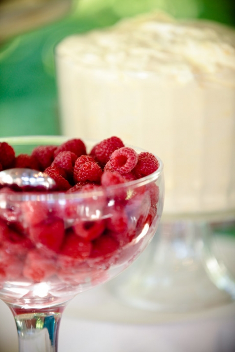 Wedding-2011-08-06-Chelsea-Kip-Utah-Wedding-and-Portrait-Photographer-The-Bungalow041IMG_3043-Blog(pp_w480_h720)