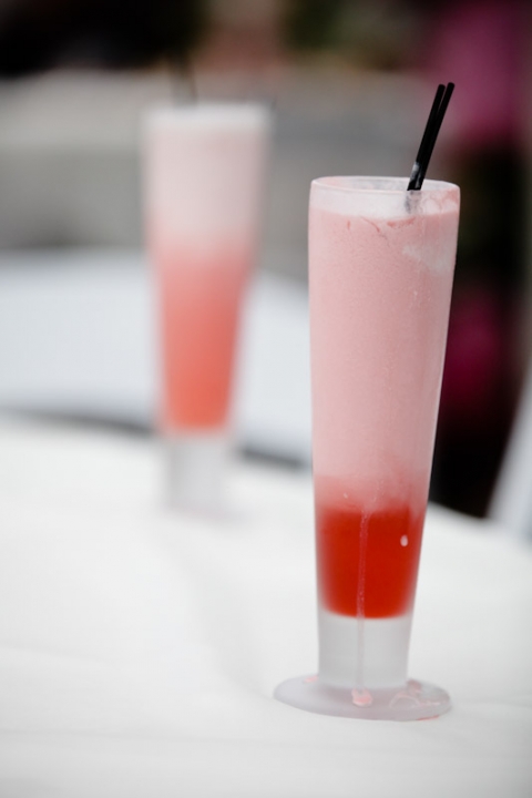 Wedding-2011-08-26-Whitney-Chris-Utah-Wedding-and-Portrait-Photographer-Cactus-Tropicals052IMG_3130-Blog(pp_w480_h720)