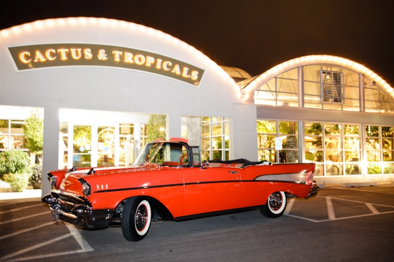 Wedding-2011-08-26-Whitney-Chris-Utah-Wedding-and-Portrait-Photographer-Cactus-Tropicals077IMG_3363-Blog(pp_w768_h511)