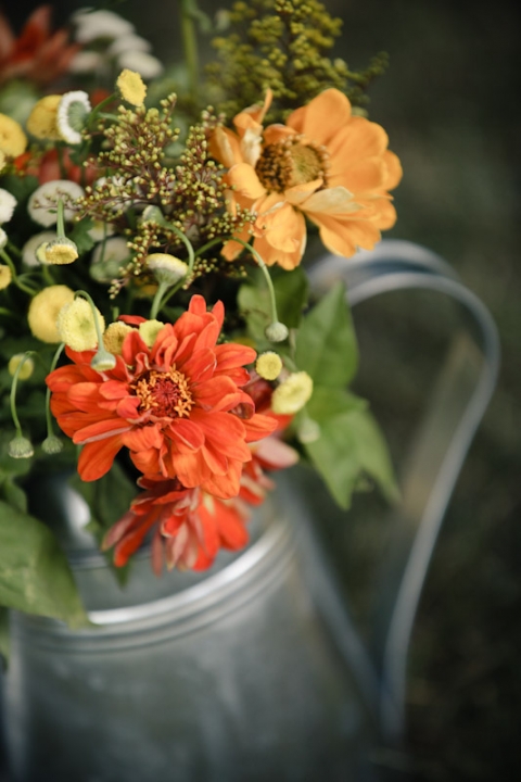 Wedding-2011-09-24-Shannon-Ty-Utah-Wedding-and-Portrait-Photographer-Backyard-vintage-Wedding005IMG_5104-Blog(pp_w480_h720)