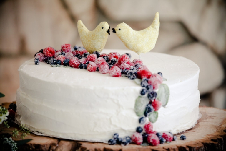 Wedding-2011-09-24-Shannon-Ty-Utah-Wedding-and-Portrait-Photographer-Backyard-vintage-Wedding016IMG_6055-Blog(pp_w768_h511)