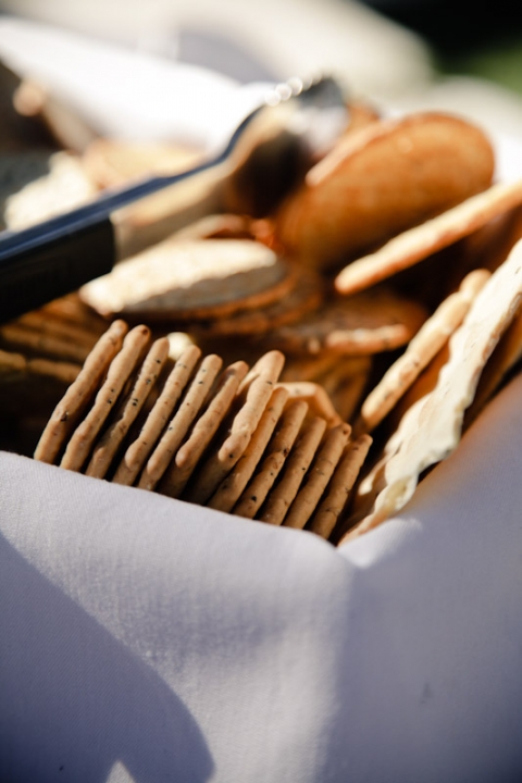 Wedding-2011-09-24-Shannon-Ty-Utah-Wedding-and-Portrait-Photographer-Backyard-vintage-Wedding048IMG_5443-Blog(pp_w480_h720)