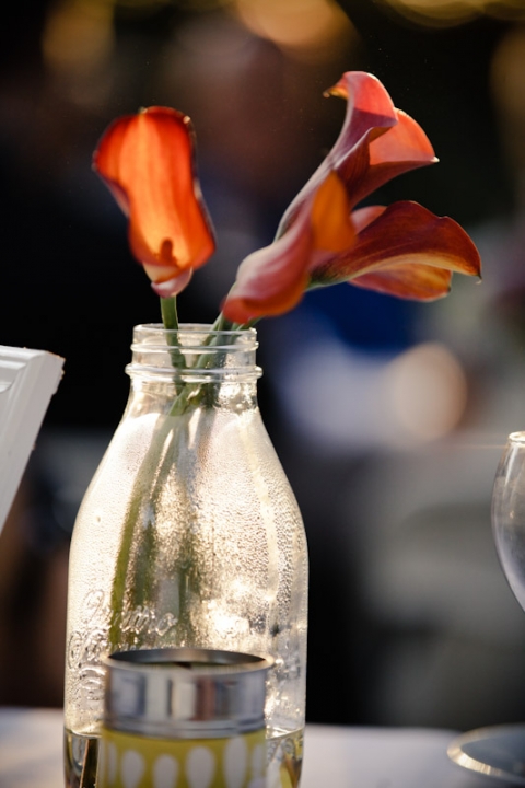Wedding-2011-09-24-Shannon-Ty-Utah-Wedding-and-Portrait-Photographer-Backyard-vintage-Wedding055IMG_6213-Blog(pp_w480_h720)
