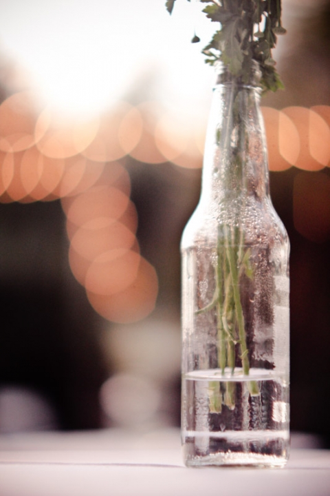 Wedding-2011-09-24-Shannon-Ty-Utah-Wedding-and-Portrait-Photographer-Backyard-vintage-Wedding064IMG_0223-Blog(pp_w480_h720)