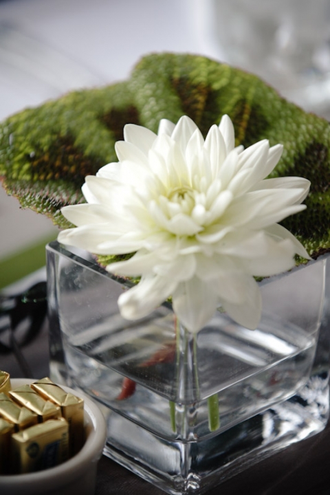 Wedding-2011-09-25-Jody-Steve-Utah-Wedding-and-Portrait-Photographer-Canyon-Wedding-UT053IMG_7287-Blog(pp_w480_h720)