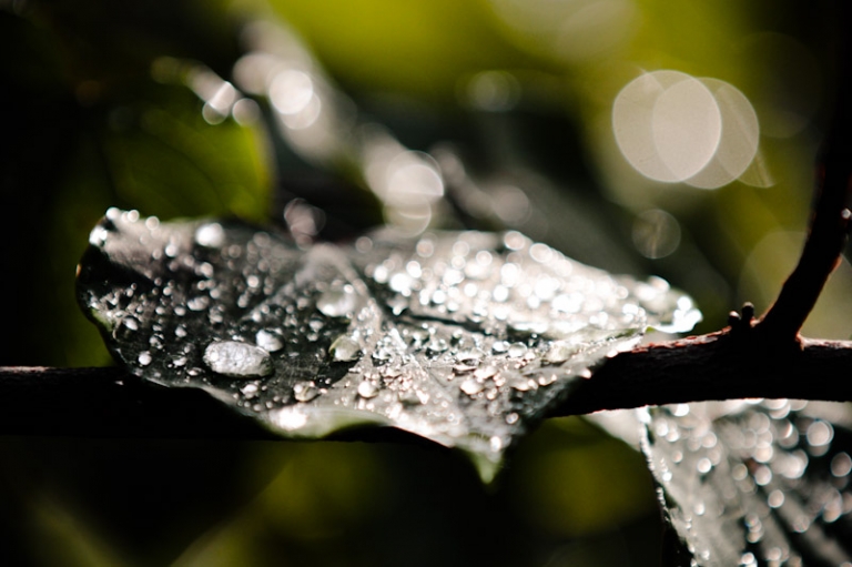 Wedding-2011-10-06-Ali-Mike-Utah-Wedding-and-Portrait-Photographer-SLC-Temple-Millcreek-inn004IMG_0951-Blog(pp_w768_h511)