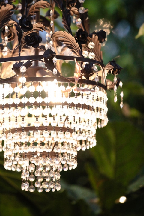 Wedding-2011-10-20-Vanessa-Marc-Utah-Wedding-and-Portrait-Photographer-Le-Gardin-UT042IMG_1958-Blog(pp_w480_h720)