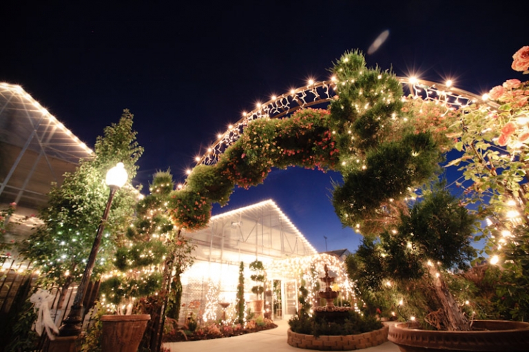 Wedding-2011-10-20-Vanessa-Marc-Utah-Wedding-and-Portrait-Photographer-Le-Gardin-UT043IMG_2110-Blog(pp_w768_h511)