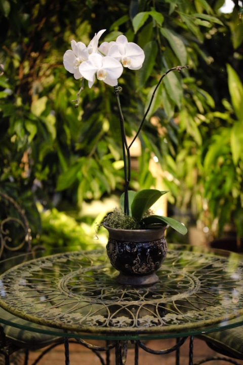 Wedding-2011-10-20-Vanessa-Marc-Utah-Wedding-and-Portrait-Photographer-Le-Gardin-UT046IMG_1952-Blog(pp_w480_h720)