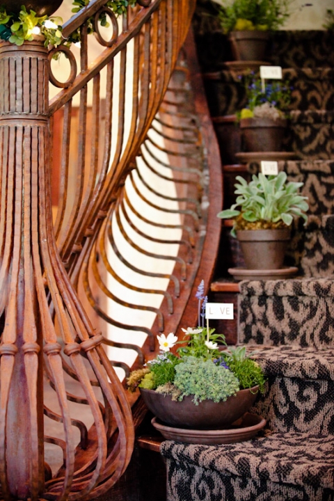 Weddings-2011-06-20-Melissa-Graig-Utah-Wedding-and-Portrait-Photographer-Wadley-Farms-Wedding-lawn-games044IMG_6349-Blog(pp_w480_h720)