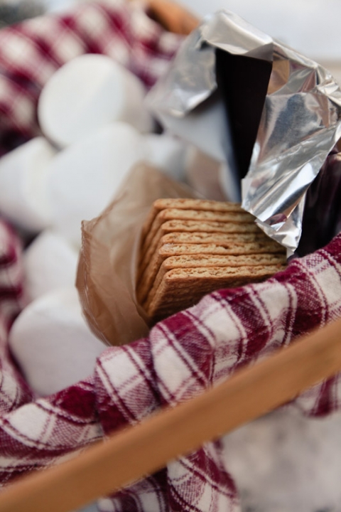 Wedding-and-Portrait-Photographer-Camp-fire-engagements-elisabeth-kate-photography027IMG_6828-Blog(pp_w480_h720)