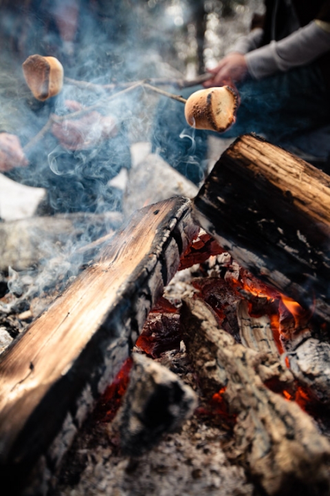 Wedding-and-Portrait-Photographer-Camp-fire-engagements-elisabeth-kate-photography041IMG_7180-Blog(pp_w480_h720)