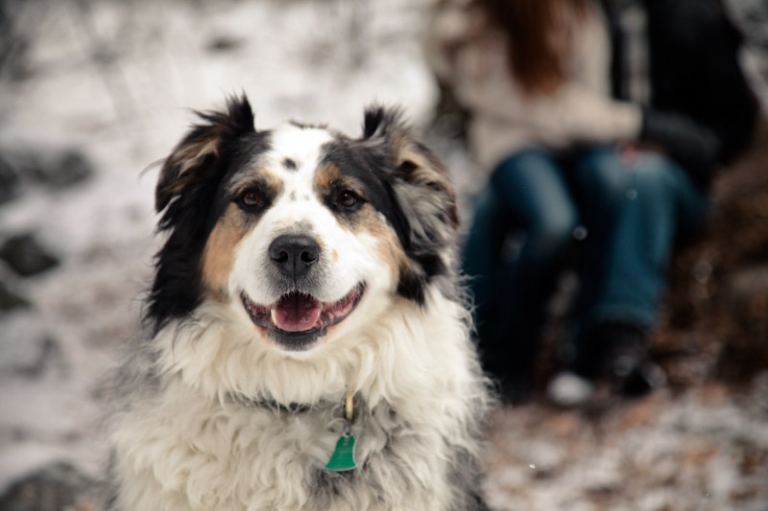 Wedding-and-Portrait-Photographer-Camp-fire-engagements-elisabeth-kate-photography047IMG_6496-Blog(pp_w768_h511)