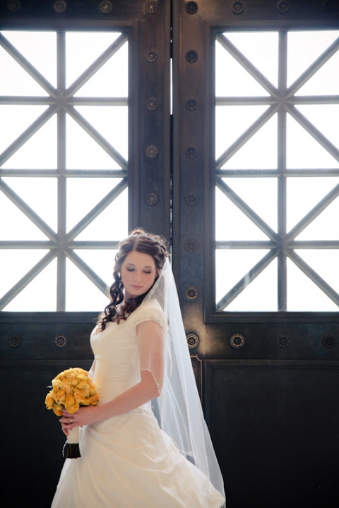 Wedding-and-Portrait-Photographer-Classy-Bridals022IMG_6514-Blog(pp_w480_h720)