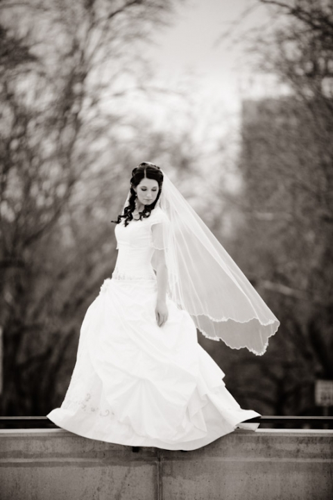 Wedding-and-Portrait-Photographer-Classy-Bridals042IMG_6954-Blog(pp_w480_h720)