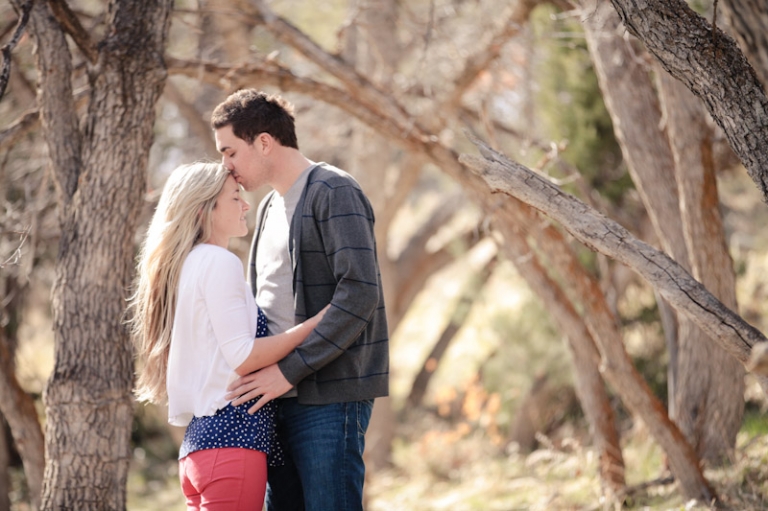 Wedding-and-Portrait-Photographer-Engagements-Elisabeth-Kate-Studios-007IMG_7554-Blog(pp_w768_h511)