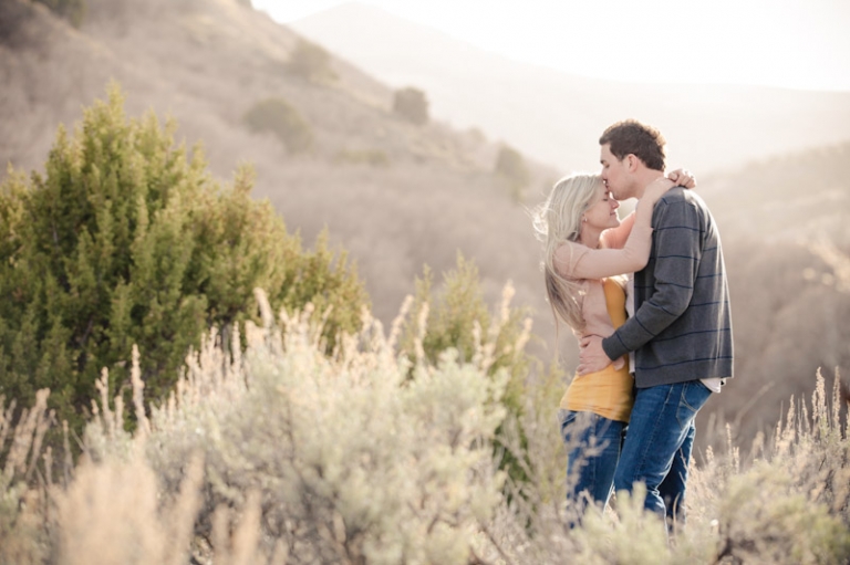 Wedding-and-Portrait-Photographer-Engagements-Elisabeth-Kate-Studios-021IMG_7934-Blog(pp_w768_h511)
