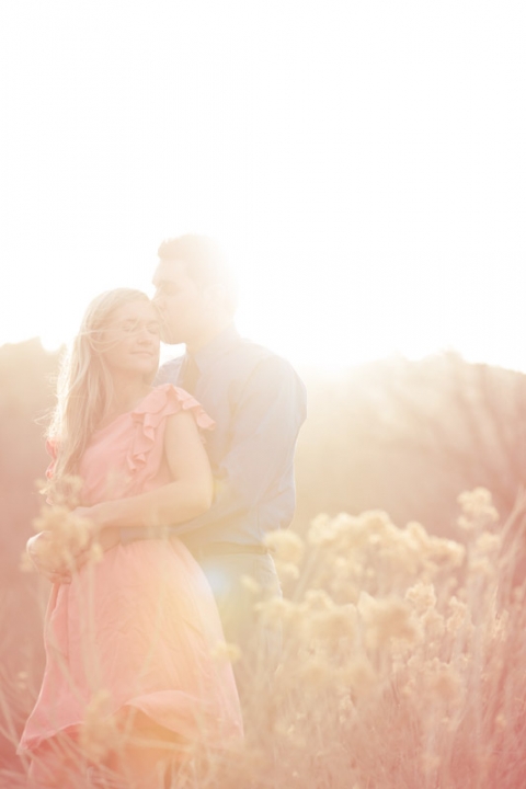 Wedding-and-Portrait-Photographer-Engagements-Elisabeth-Kate-Studios-039IMG_8102-Blog(pp_w480_h720)