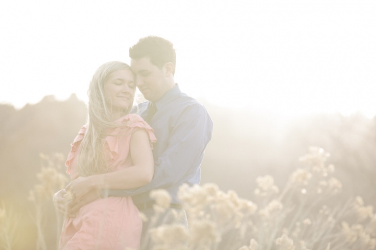 Wedding-and-Portrait-Photographer-Engagements-Elisabeth-Kate-Studios-043IMG_8097-Blog(pp_w768_h511)