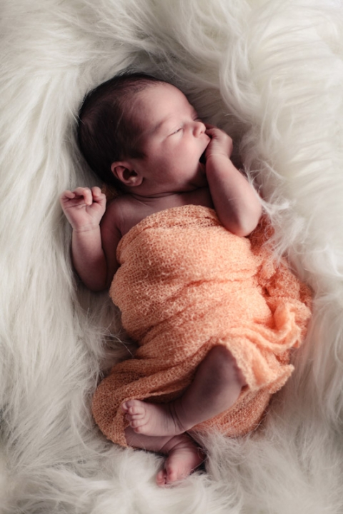Wedding-and-Portrait-Photographer-Newborn-photos010IMG_5794-Blog(pp_w480_h720)