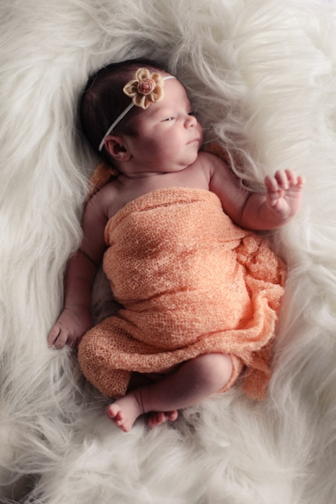 Wedding-and-Portrait-Photographer-Newborn-photos013IMG_5798-Blog(pp_w480_h720)