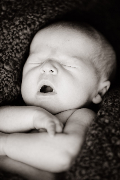 Wedding-and-Portrait-Photographer-Newborns003IMG_7363-Blog(pp_w480_h720)