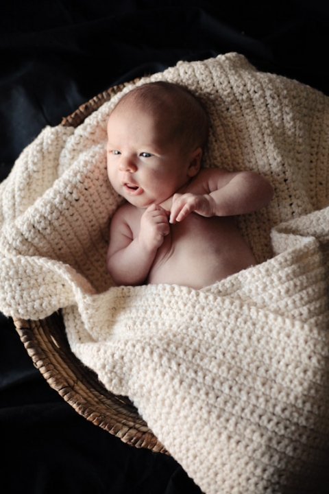 Wedding-and-Portrait-Photographer-Newborns005IMG_7242-Blog(pp_w480_h720)