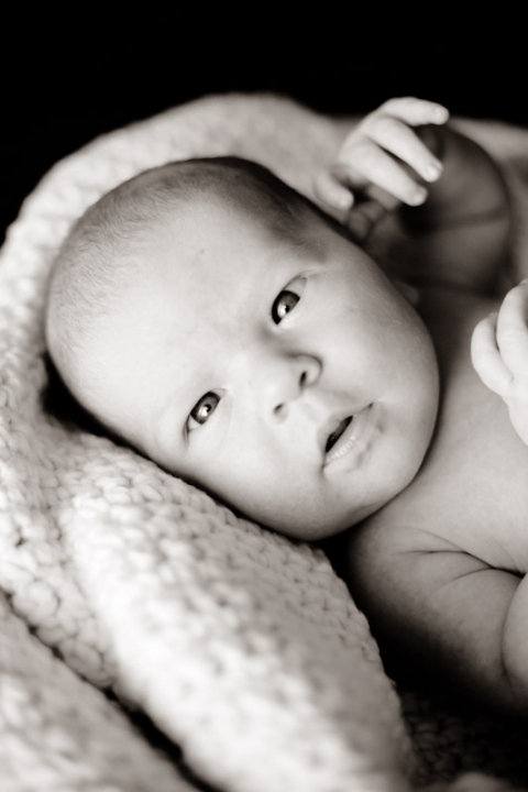 Wedding-and-Portrait-Photographer-Newborns006IMG_7232-Blog(pp_w480_h720)