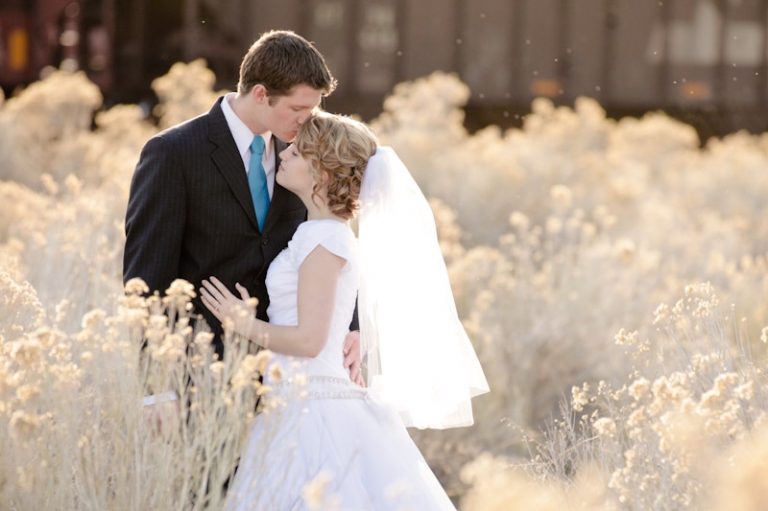 Wedding-and-Portrait-Photographer-Utah-Bridal-Photographer044IMG_5852-Blog(pp_w768_h511)