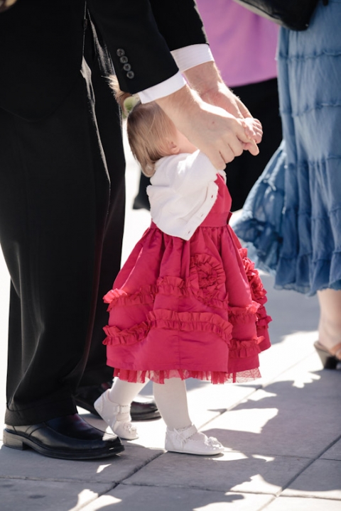 Wedding-and-Portrait-Photographer-draper-temple004IMG_9976-Blog(pp_w480_h720)