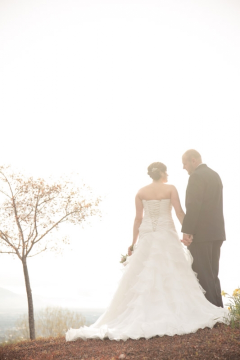 Wedding-and-Portrait-Photographer-Bridals-SLC023IMG_6131-Blog(pp_w480_h720)