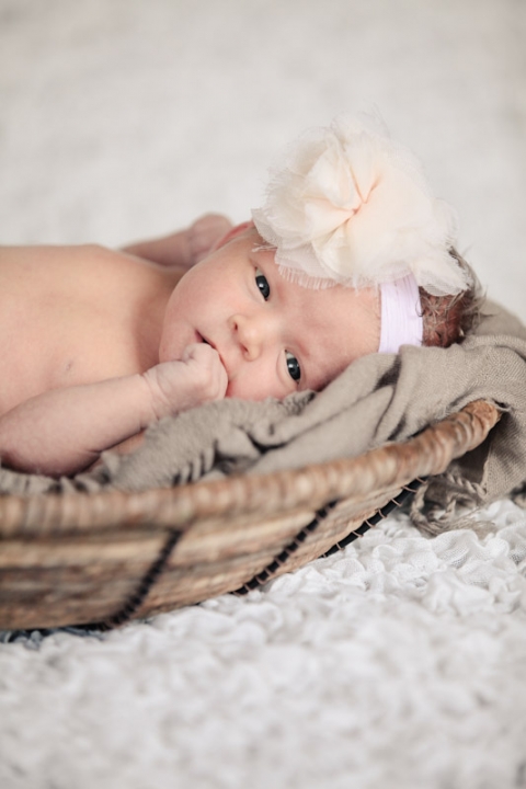 Wedding-and-Portrait-Photographer-Newborns007IMG_1258-Blog(pp_w480_h720)
