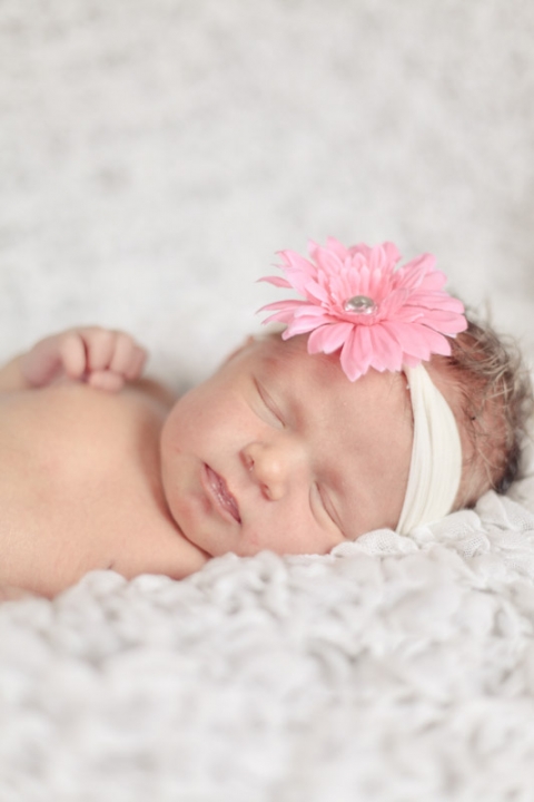 Wedding-and-Portrait-Photographer-Newborns008IMG_1337-Blog(pp_w480_h720)
