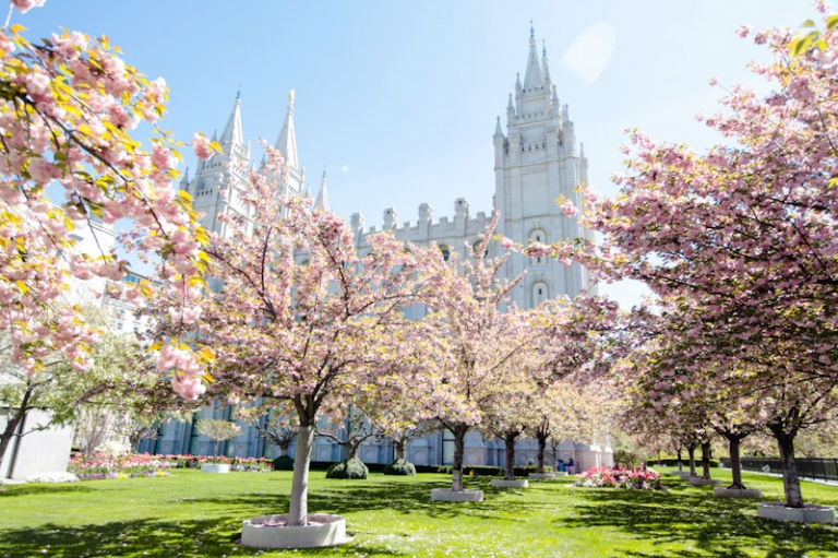 Wedding-and-Portrait-Photographer-Wadley-Farms-Reception001IMG_7461-Blog(pp_w768_h511)