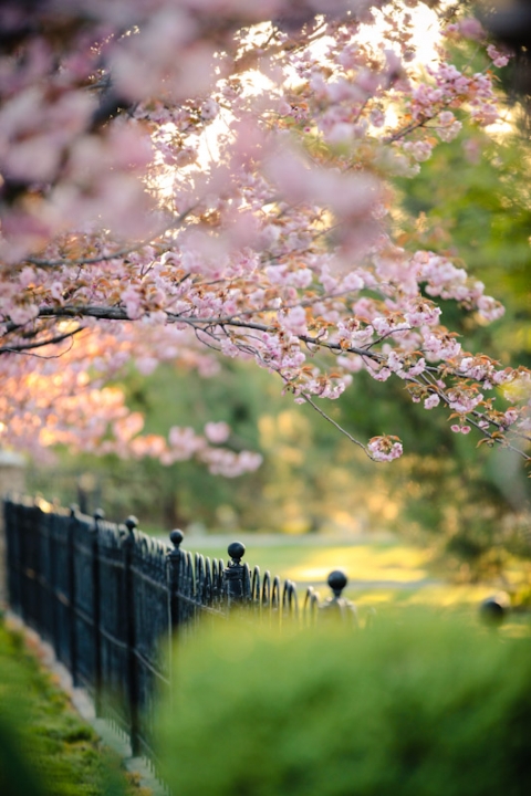 Wedding-and-Portrait-Photographer-Wadley-Farms-Reception039IMG_8172-Blog(pp_w480_h720)