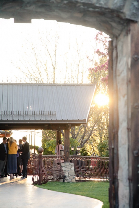 Wedding-and-Portrait-Photographer-Wadley-Farms-Reception058IMG_8150-Blog(pp_w480_h720)