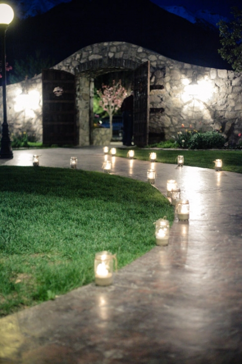 Wedding-and-Portrait-Photographer-Wadley-Farms-Reception071IMG_8542-Blog(pp_w480_h720)