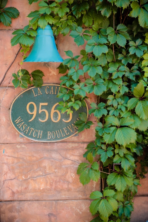 Wedding-Danielle-Josh-La-Caille-Wedding-2(pp_w480_h720)