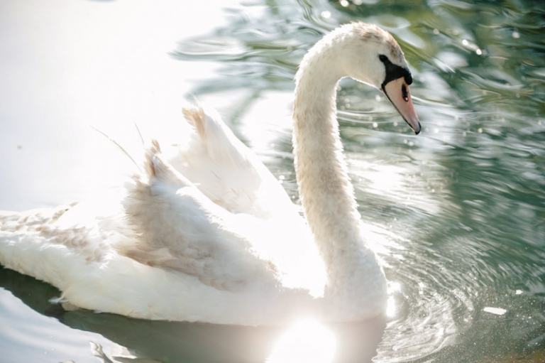 Wedding-Danielle-Josh-La-Caille-Wedding-3(pp_w768_h511)