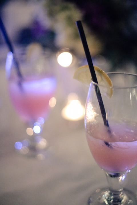 Wedding-Danielle-Josh-La-Caille-Wedding-75(pp_w480_h720)