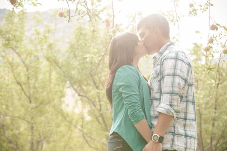 Wedding-and-Portrait-Photographer-Engagements-UT0120R0A0456-Blog(pp_w768_h511)