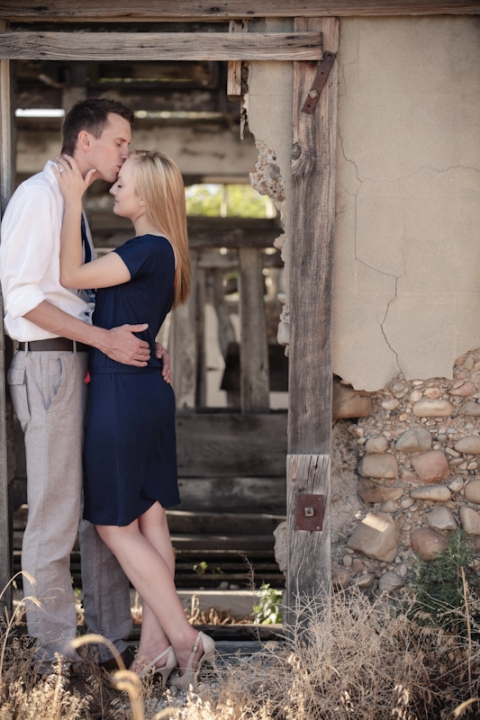 Wedding-and-Portrait-Photographer-Engagements005IMG_4557-Blog(pp_w480_h720)