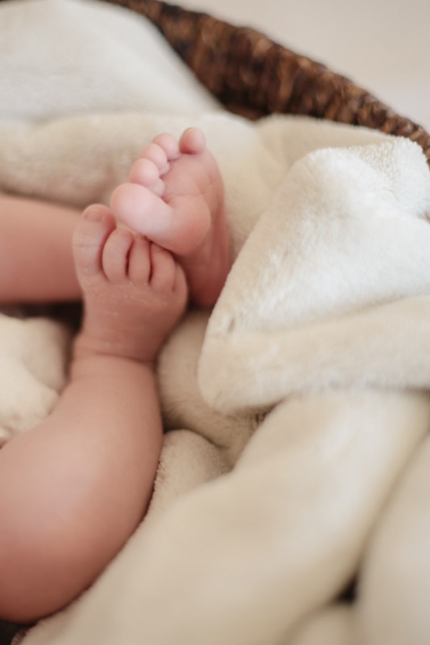 Wedding-and-Portrait-Photographer-Newborn-photos0040R0A6508-Blog(pp_w480_h720)
