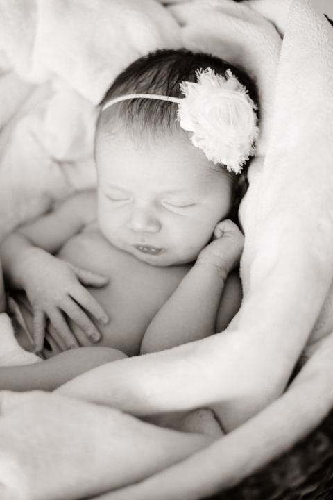 Wedding-and-Portrait-Photographer-Newborn-photos0050R0A6555-Blog(pp_w480_h720)